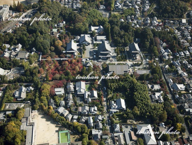 紅葉の東福寺(2011/11)