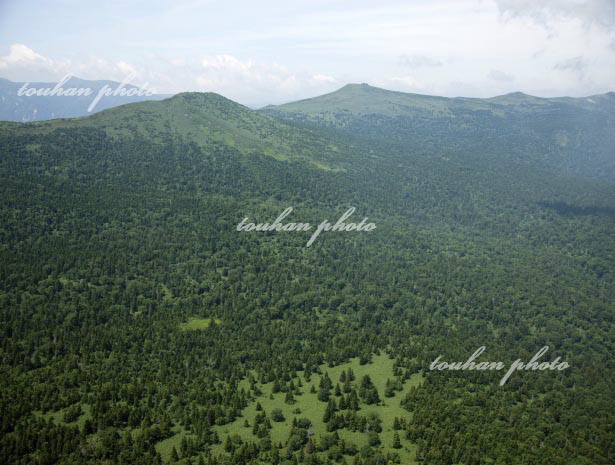 平ヶ倉山、鳥帽子岳周辺(2012/8)