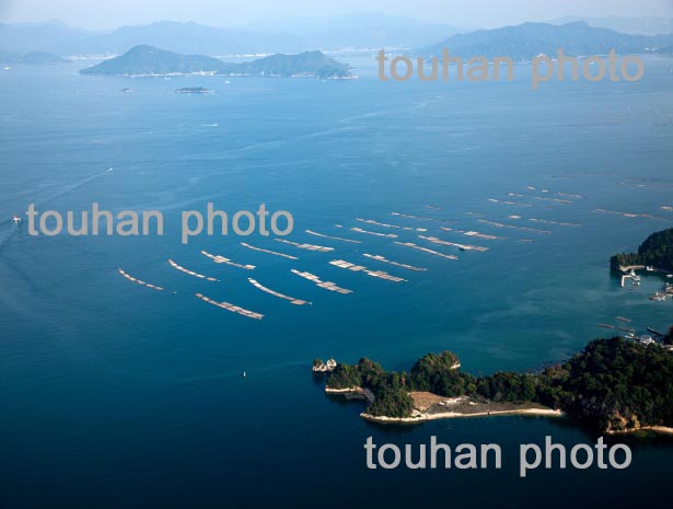 宮島、聖崎沖の牡蠣の養殖場(2013/10)