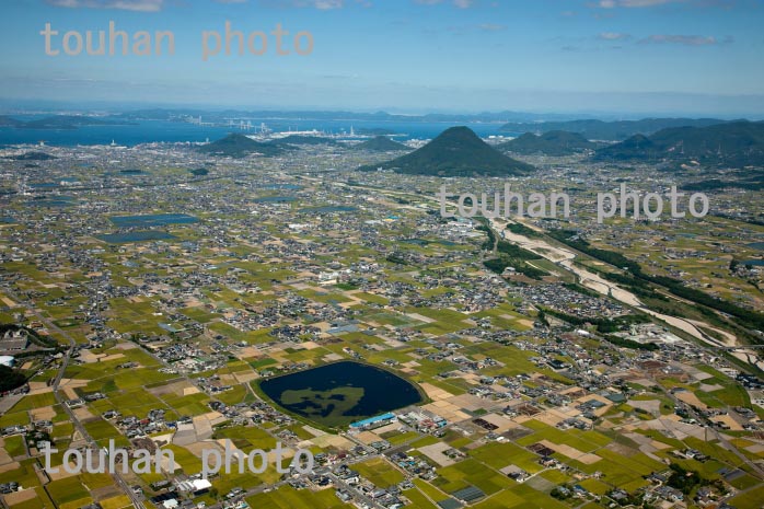 讃岐平野と溜池群(上池,土器川より讃岐富士と瀬戸内海方面)(2013/9)