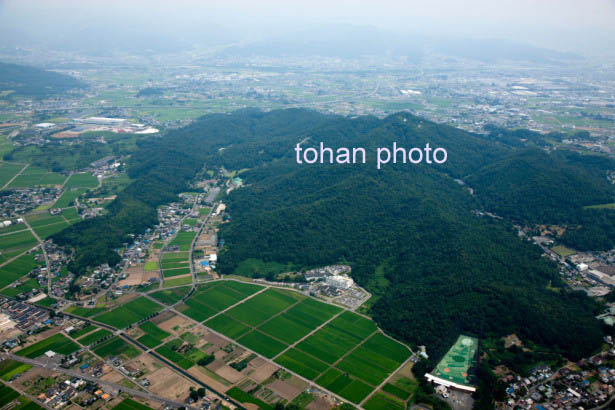 金山総合公園,金山自然公園,西山公園,東山公園(2014/8)