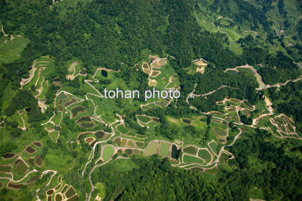 棚田群(山古志虫亀地区)(2014/8)