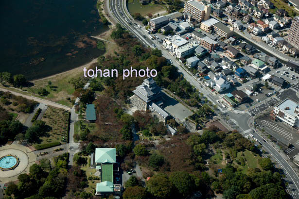 長浜城(長浜城歴史博物館)(2014/10)