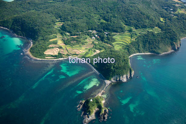 油谷島(俵島より油谷向津具下の棚田群)(2014/9)