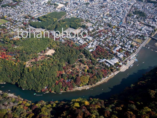 紅葉の桂川と嵐山公園、天龍寺周辺(世界文化遺産)(2016/11)