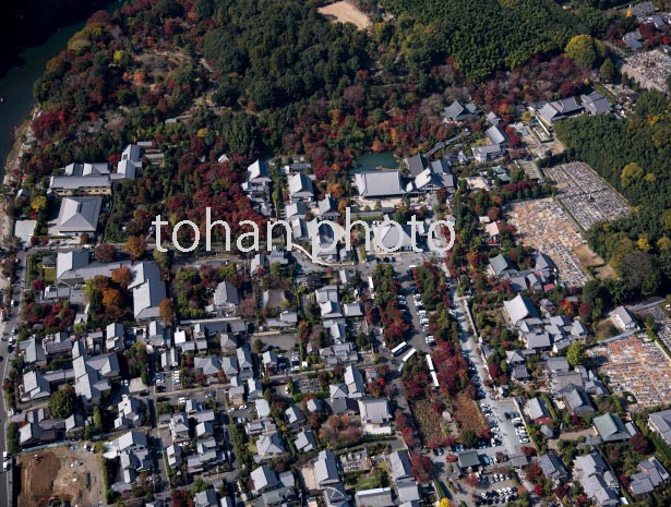 紅葉の天龍寺周辺世界文化遺産)(2016/11)