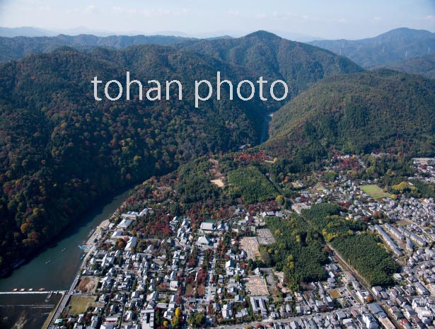 紅葉の桂川と嵐山公園,天龍寺,常寂光寺,安立寺周辺(2016/11)