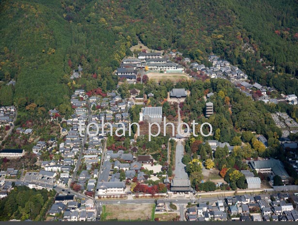 紅葉の仁和寺周辺(2016/11)