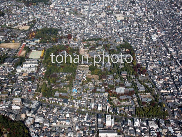 紫野下門前町の寺群(龍翔寺,大本山大徳寺宗務本所,瑞峯院他)(2016/11)