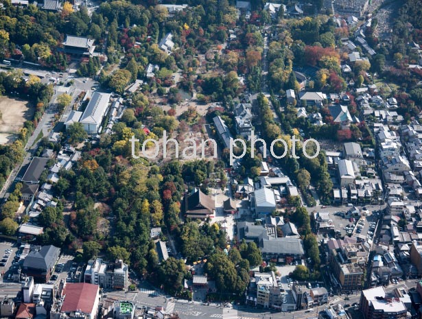 八坂神社より円山公園周辺(2016/11)