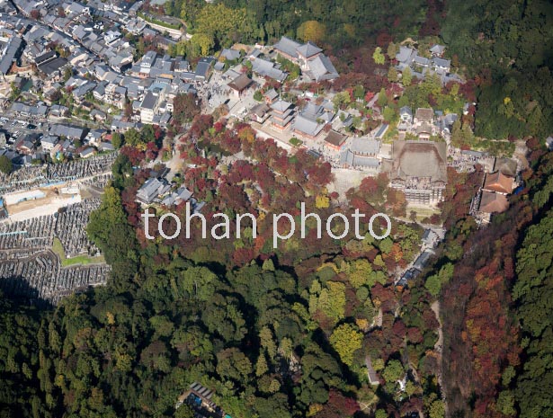 紅葉の清水寺(2016/11)