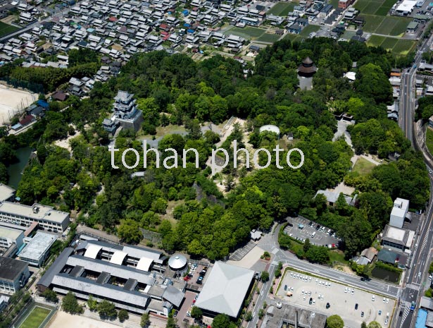 伊賀上野城(白鳳城)と上野公園(日本百名城)(2016/6)