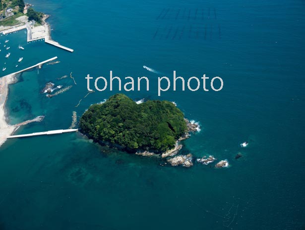 荒島（志津川湾）(2016/8)