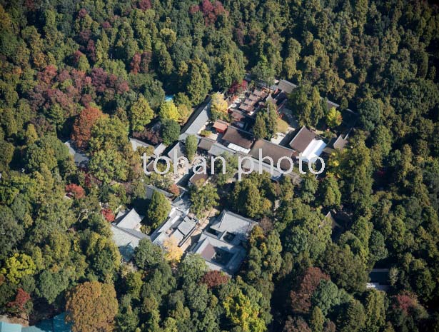 春日大社(春日神社)世界文化遺産(2016/11)