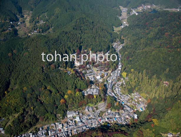 紅葉の長谷寺周辺(2016/11)