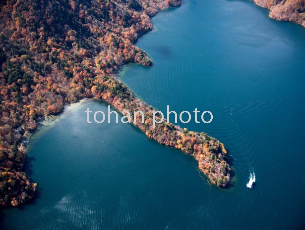 紅葉の八丁出島と中禅寺湖(日光国立公園)と観光船(2016/11)