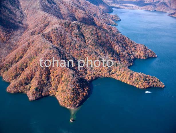 紅葉の中禅寺湖,中宮祠上野島,大日崎,松ケ崎周辺(日光国立公園)(2016/11)