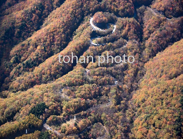 紅葉のいろは坂(2016/11)