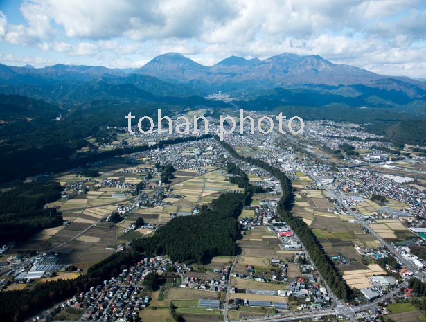 日光杉並木(日光街道)森友周辺より今市,日光,男体山方面(2016/11)