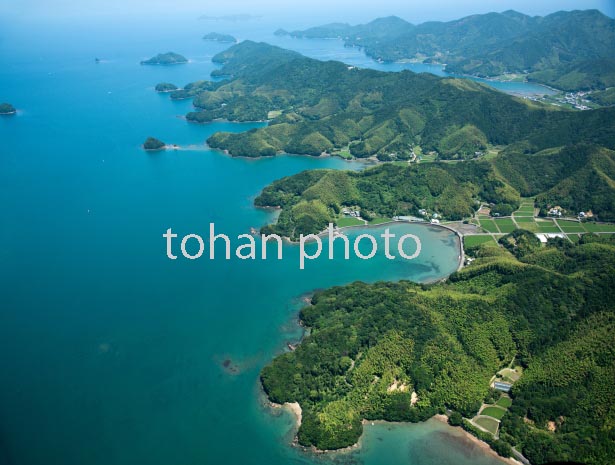 椿町(於越岬,姫島,燧崎)リアス式海岸(2016/6)