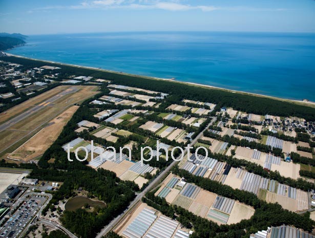 庄内の海岸,浜中地区(砂丘地帯)の果物,花畑のビニール栽培群とおいしい庄内空港(2016/8)