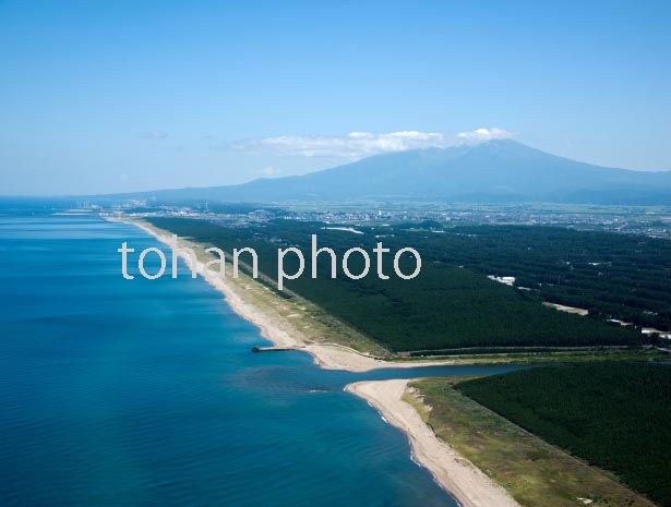 庄内の海岸線と防風林より庄内平野と鳥海山(中央赤川河口)(2016/8)