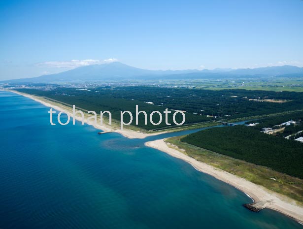 庄内の海岸線と防風林より庄内平野と鳥海山(中央赤川河口)(2016/8)