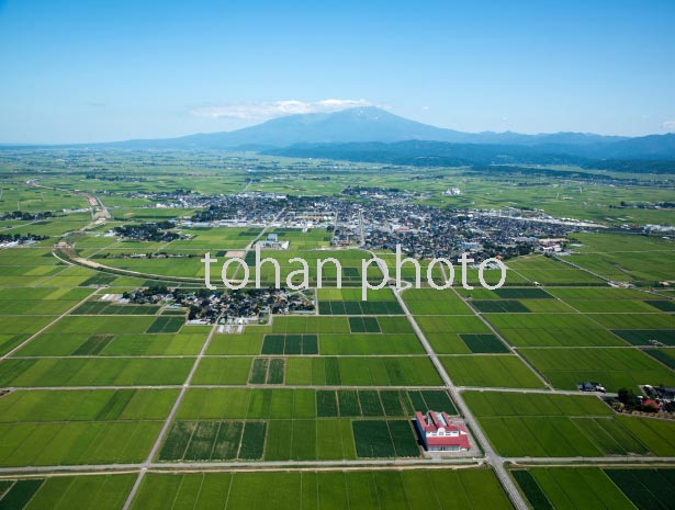 庄内平野(庄内町茗荷瀬周辺)中央は庄内町より鳥海山(2016/8)