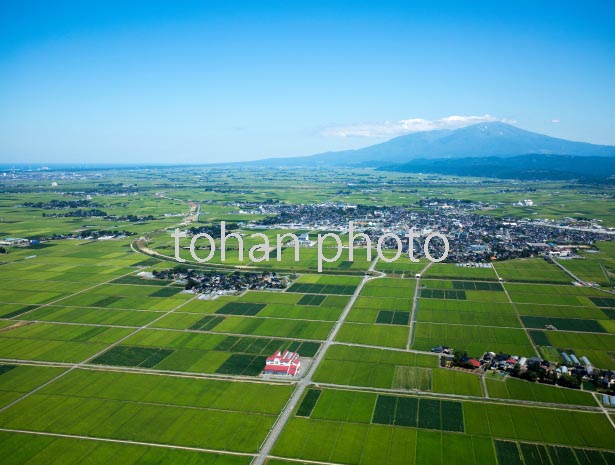 庄内平野(庄内町茗荷瀬周辺)中央は庄内町より鳥海山(2016/8)