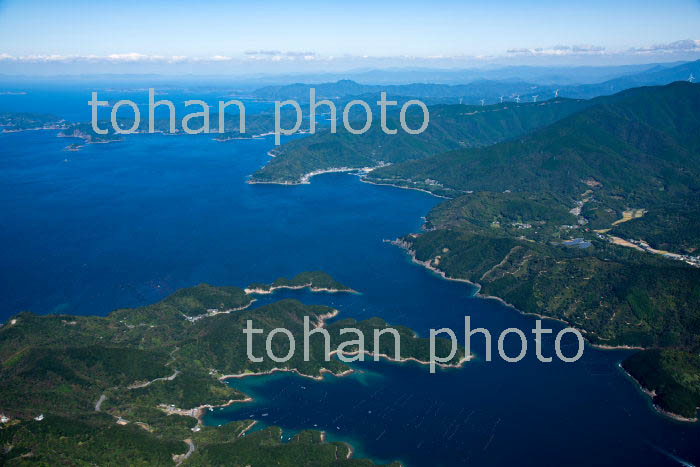 愛南町町中浦,御荘菊川地区海岸線(足摺宇和海国立公園)(2018/10)