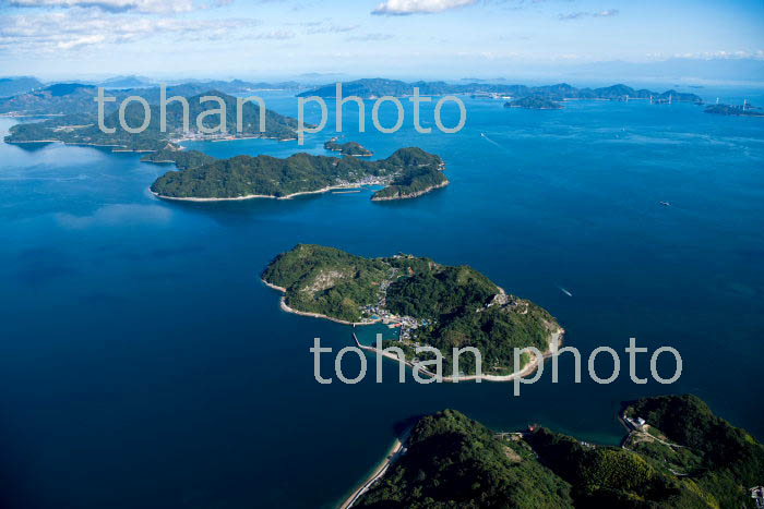 瀬戸内海の島々(小大下島,大下島,大三島周辺)(2018/10)