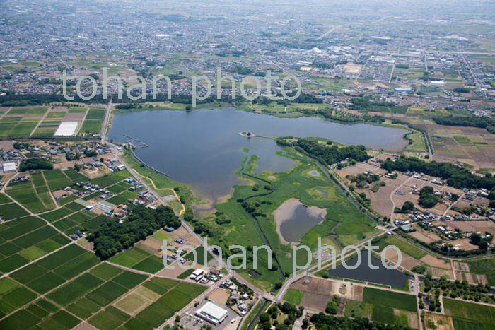 多々良沼と多々良沼公園周辺(2018/5)