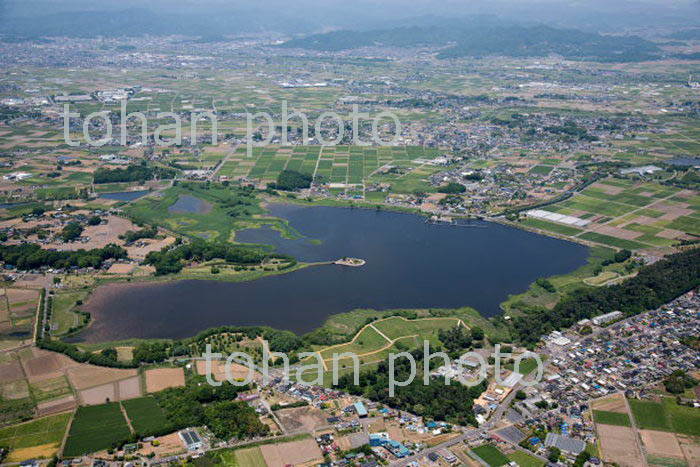 多々良沼と多々良沼公園周辺(2018/5)