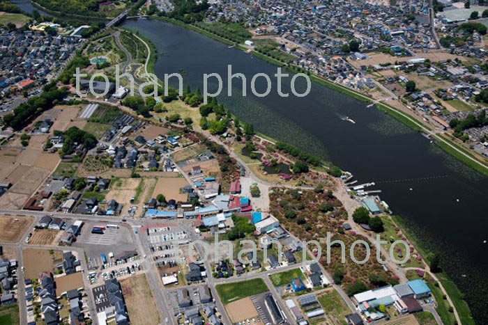 城沼,つつじが岡公園周辺(2018/5)