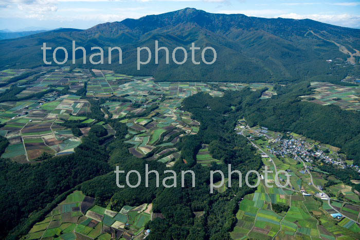 嬬恋村の高原野菜地区(干俣地区より茨木山,四阿山方面)(2018/10)