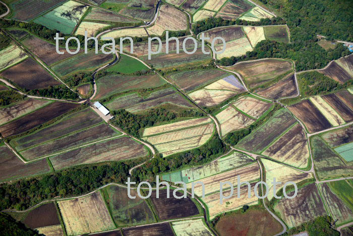 嬬恋村の高原野菜地区(田代地区周辺)(2018/10)