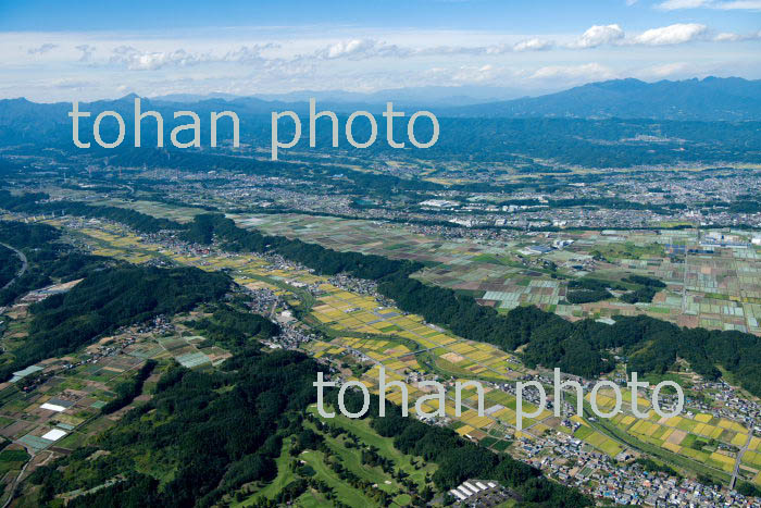 河岸段丘(高田川,妙義町下高田付近)(2018/10)