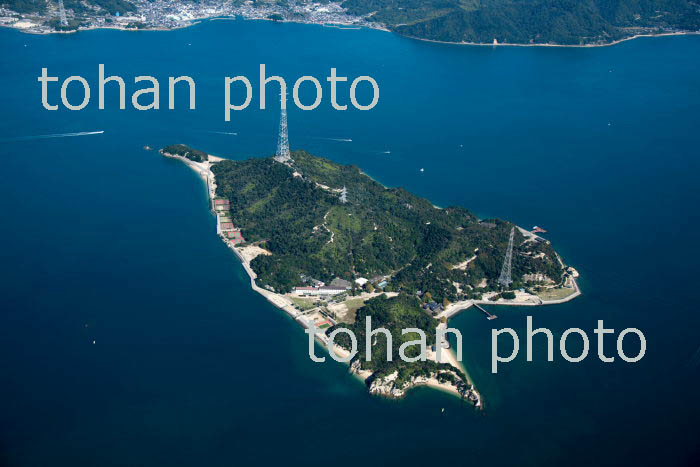 大久野島(ウサギの島,瀬戸内海,芸予諸島)