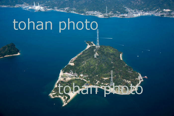 大久野島(ウサギの島,瀬戸内海,芸予諸島)2018/10