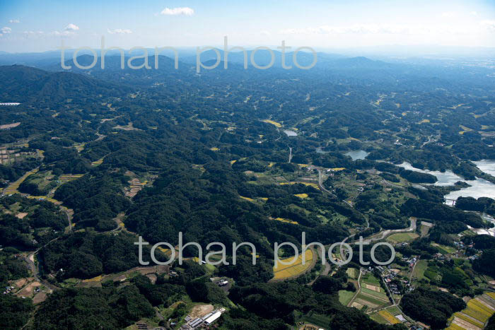 阿武隈高地(福島県田村市船引周辺よりいわき市方面)(2021/10)