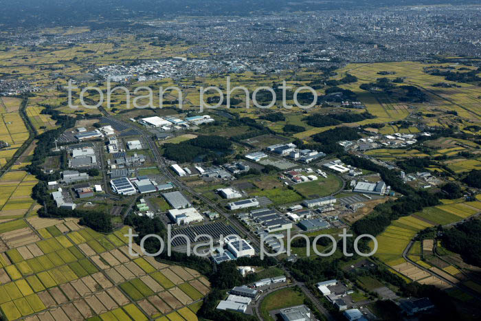 郡山西部第二工業団地より郡山市の街並み(2021/10)