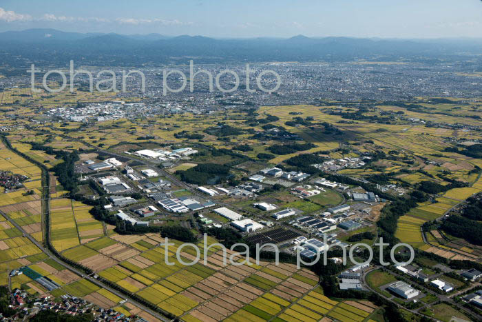 郡山西部第二工業団地より郡山市の街並み(2021/10)