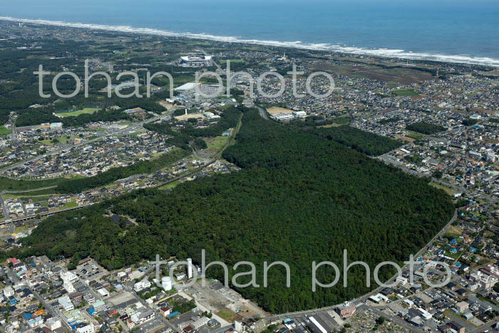 鹿島神宮周辺より鹿島灘(2021/10)