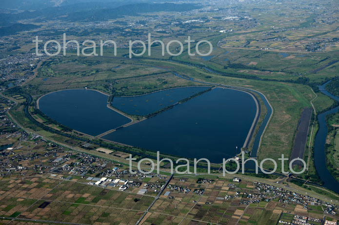 渡良瀬遊水地(谷中湖)(2021/10)