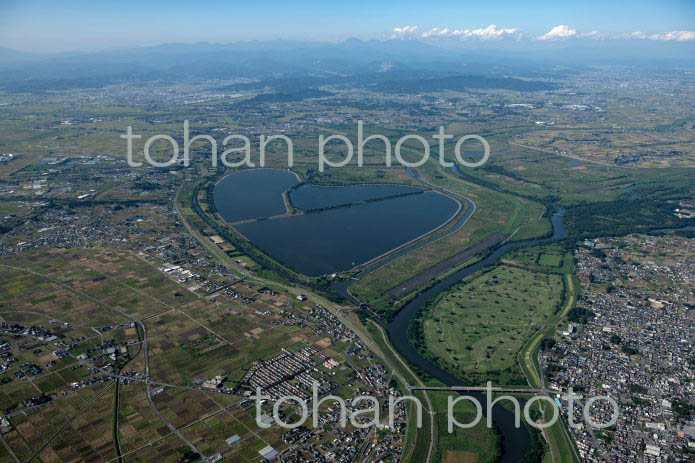 渡良瀬遊水地(谷中湖)(2021/10)