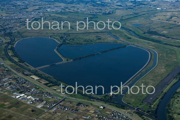 渡良瀬遊水地(谷中湖)(2021/10)