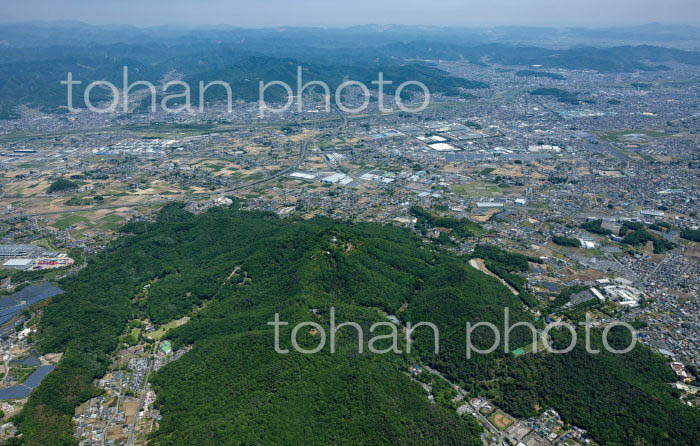 東山公園,金山自然公園(金山城跡)周辺(2022/05)