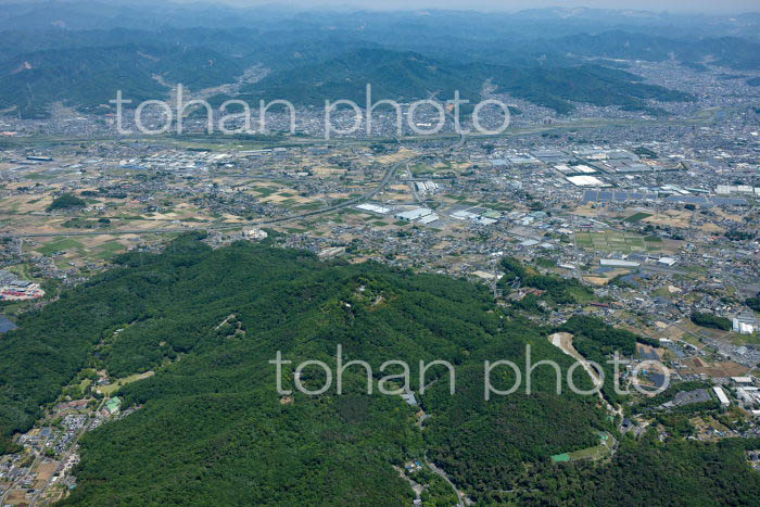 東山公園,金山自然公園(金山城跡)周辺(2022/05)