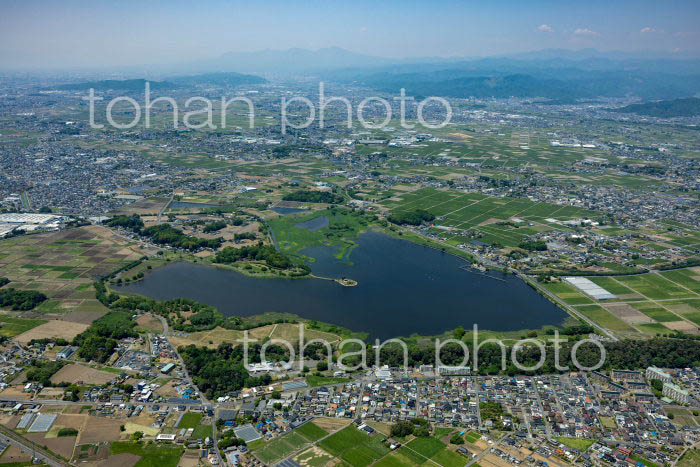 多々良沼(多々良沼公園)周辺(2022/05)