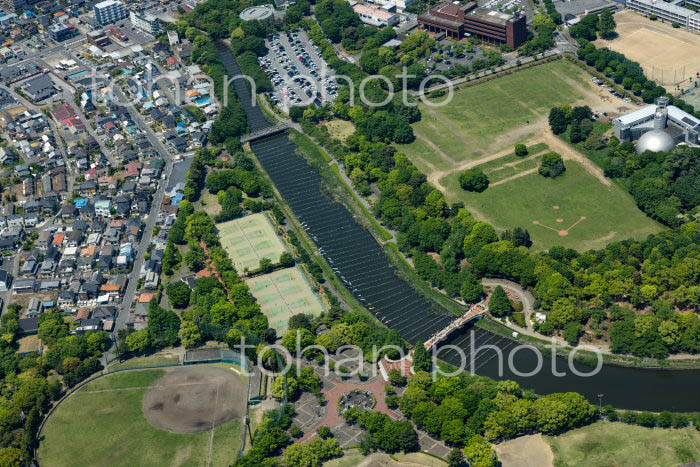 鶴生田川と鯉のぼり,つつじが岡第二公園周辺(2022/05)